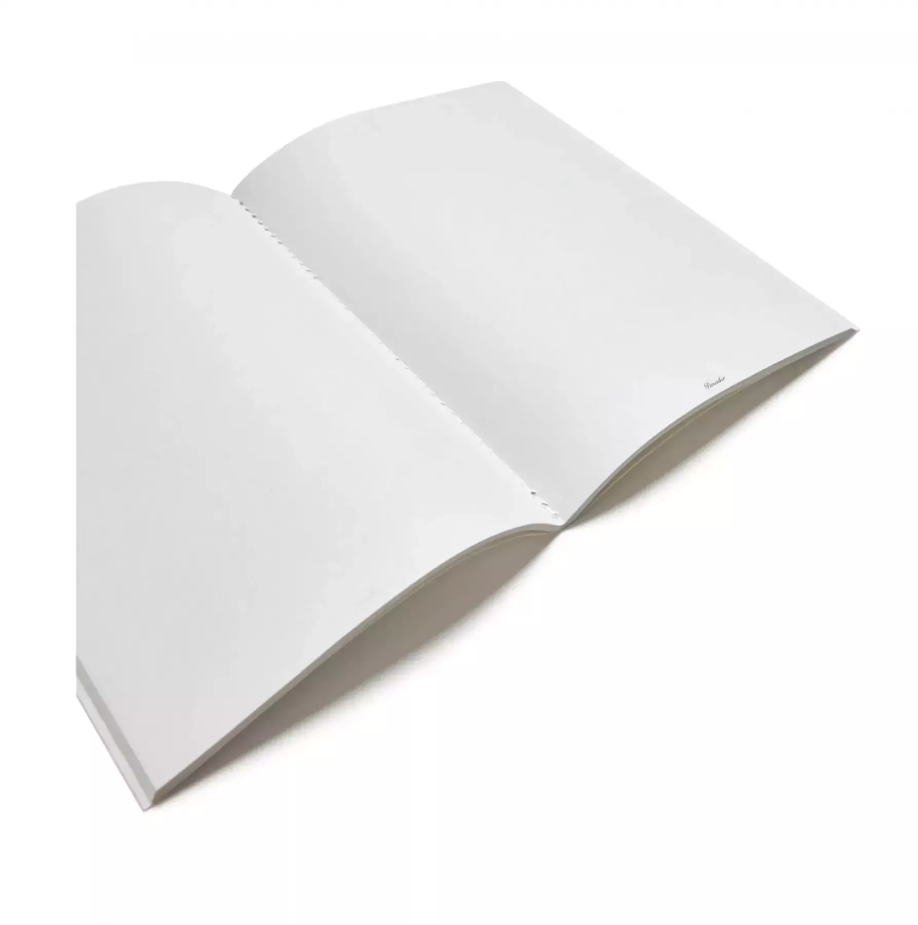 Pineider Notebook EcoJazz senza righe 2025