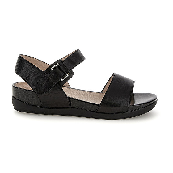 Stonefly EVE 1 NAPPA Esporta salva