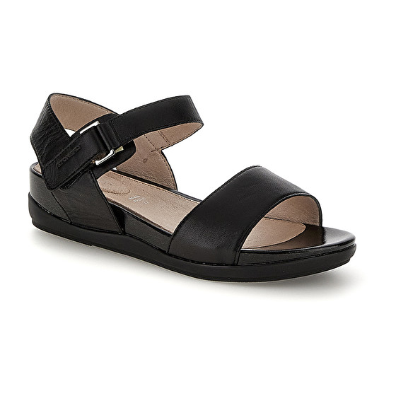 Stonefly EVE 1 NAPPA Esporta salva