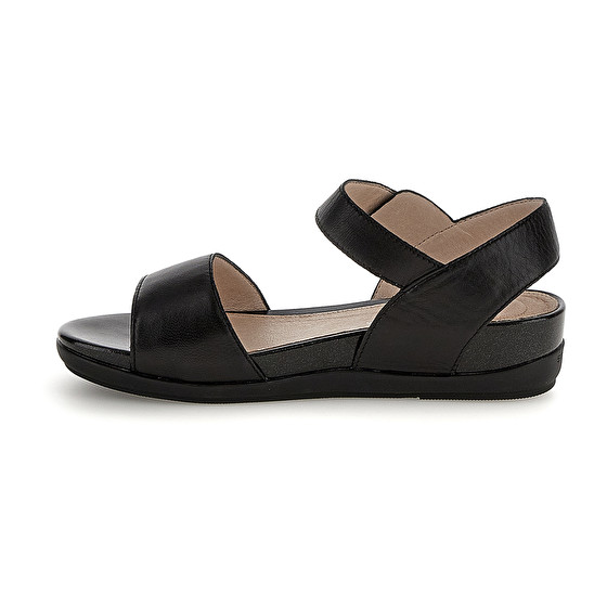 Stonefly EVE 1 NAPPA Esporta salva