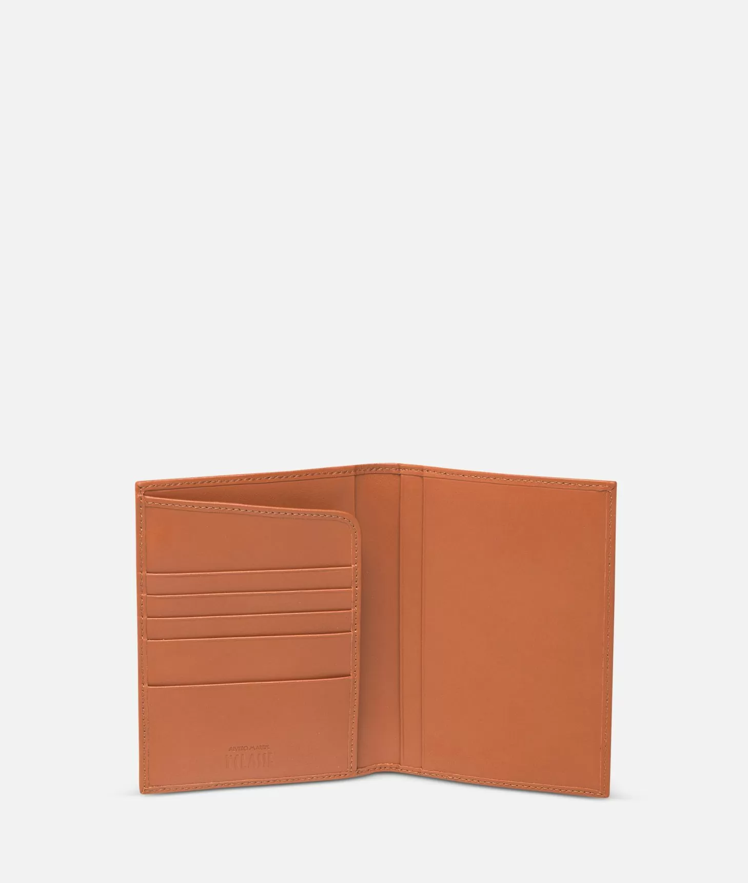 Alviero martini 1a classe Geo Classic Cover per passaporto Rilascio limitato